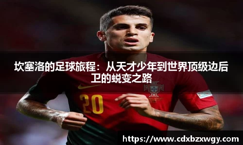 坎塞洛的足球旅程：从天才少年到世界顶级边后卫的蜕变之路