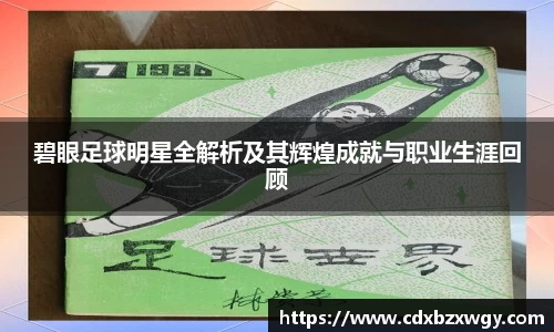 碧眼足球明星全解析及其辉煌成就与职业生涯回顾